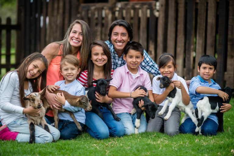 Large family at an animal park