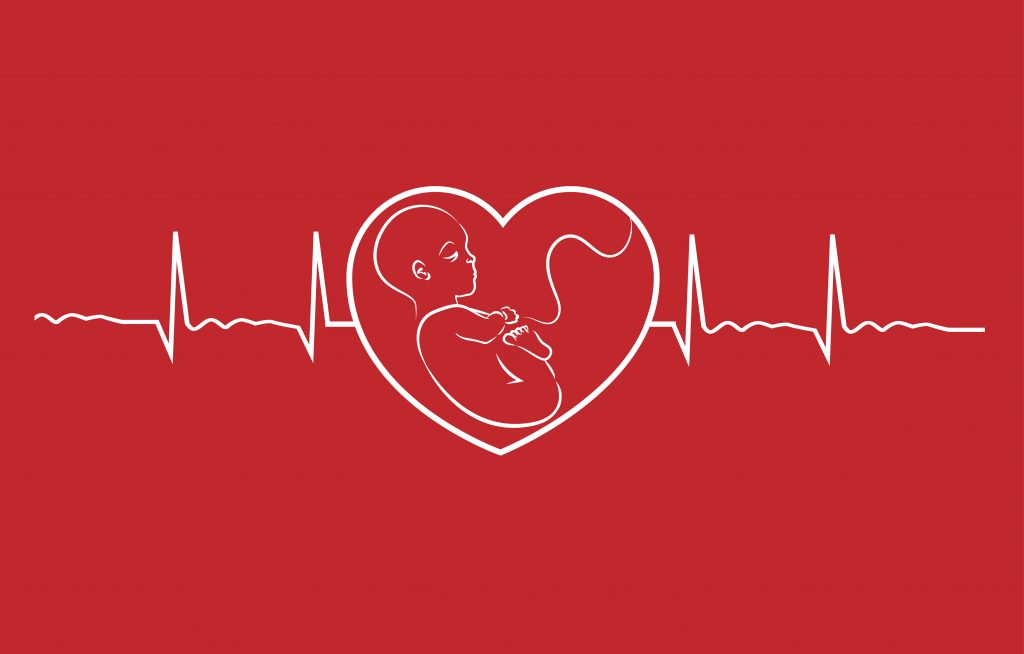 Baby on heart concept linear