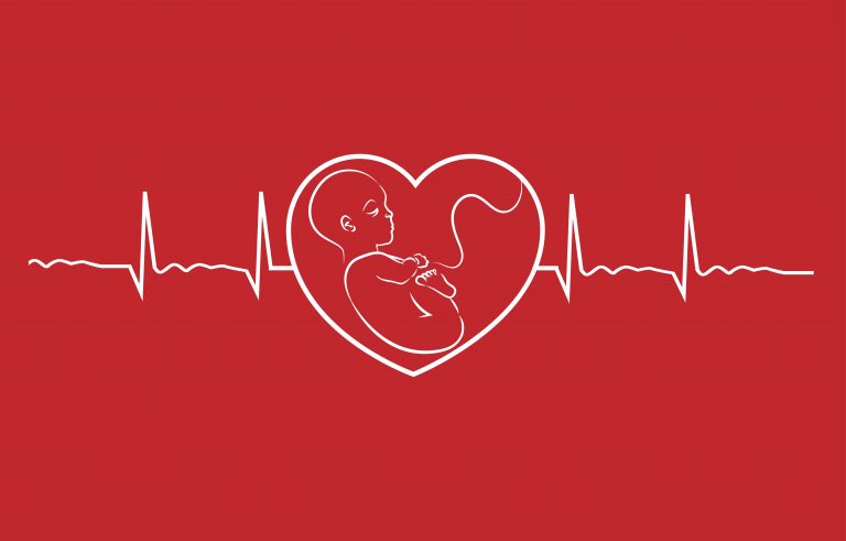 Baby on heart concept linear