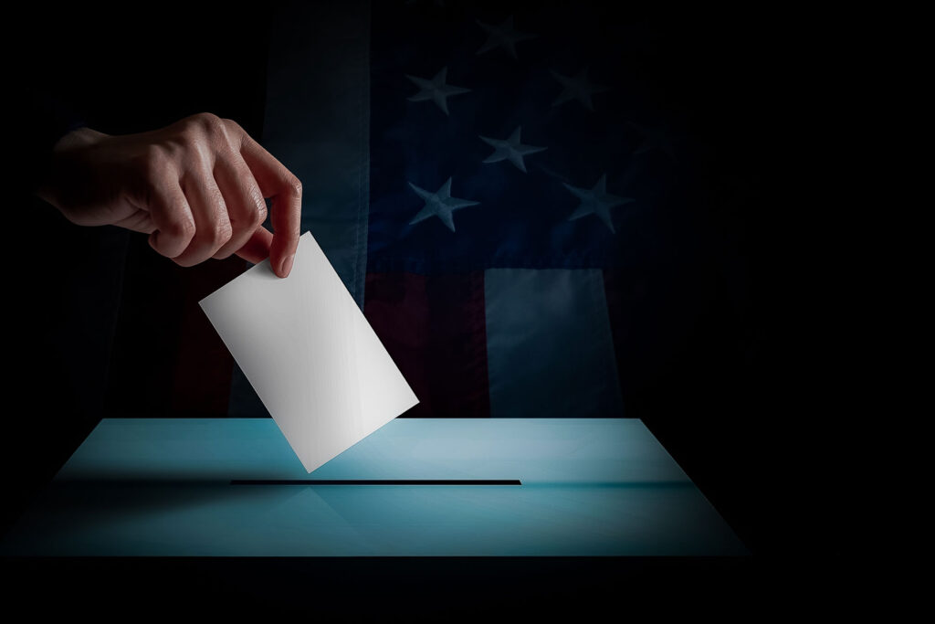 True the Vote - 2000 Mules and a Stolen Election?